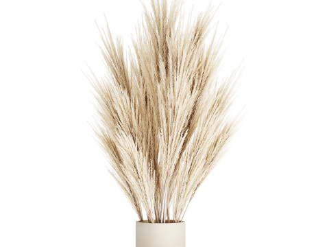 Bouquet Dried Flowers Branches Cortaderia Pampas 539 Modèle 3D