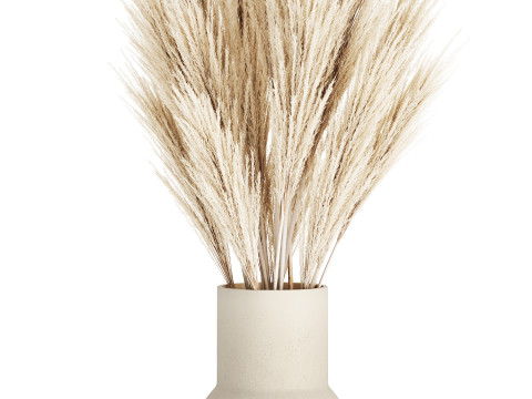 Bouquet Dried Flowers Branches Cortaderia Pampas 539 Modèle 3D