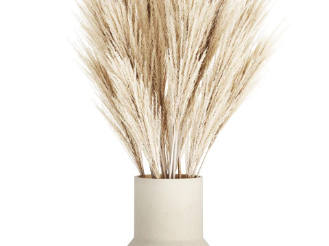 Bouquet Dried Flowers Branches Cortaderia Pampas 539 3D Model