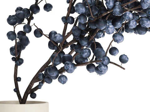 Flower Bouquet Branches Blueberries Blueberry 540 3D Model