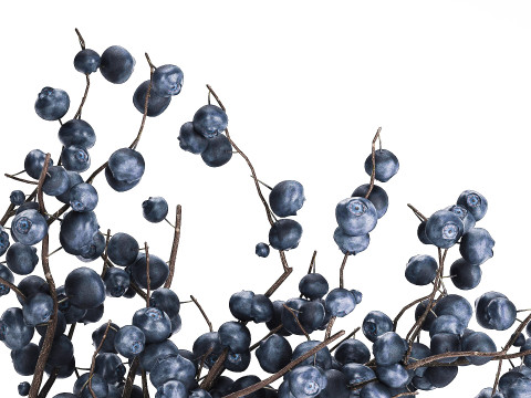 Flower Bouquet Branches Blueberries Blueberry 540 Modelo 3D