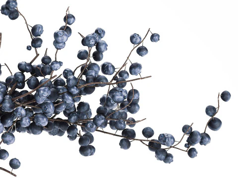 Flower Bouquet Branches Blueberries Blueberry 540 3D Model