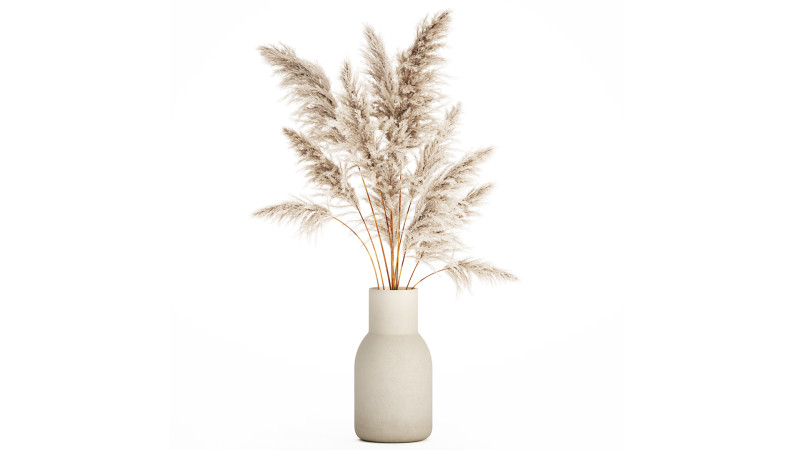 Bouquet Dried Flowers Branches Cortaderia Pampas 542 Modelo 3D .c4d .max .obj .3ds .fbx .stl .blend