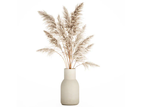 부케 말린 꽃 가지 코르타데리아 팜파스 542 3D 모델