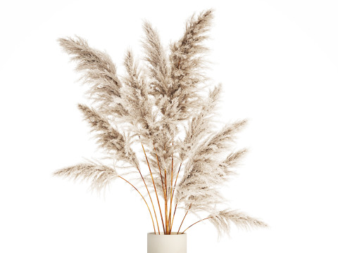 Bouquet Dried Flowers Branches Cortaderia Pampas 542 Modelo 3D
