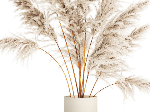 Bouquet Dried Flowers Branches Cortaderia Pampas 542 Modelo 3D