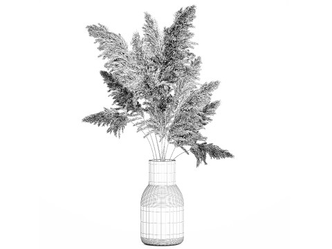Bouquet Dried Flowers Branches Cortaderia Pampas 542 Modelo 3D