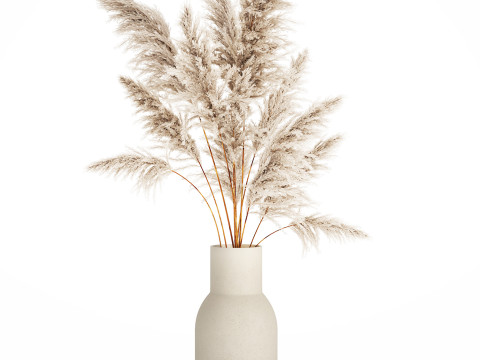 Bouquet Dried Flowers Branches Cortaderia Pampas 542 Modelo 3D