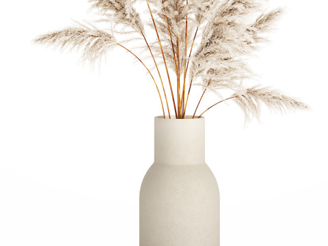 Bouquet Dried Flowers Branches Cortaderia Pampas 542 Modelo 3D