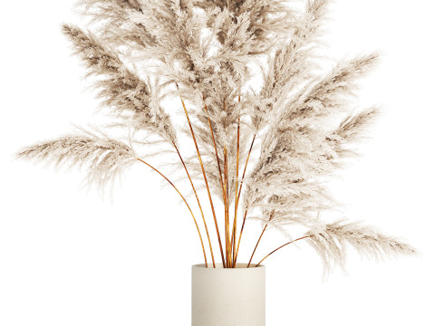 Bouquet Dried Flowers Branches Cortaderia Pampas 542 Modelo 3D