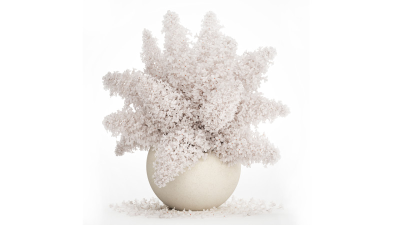 White flower bouquet of lilac branches in a vase 543 3D Model .c4d .max .obj .3ds .fbx .stl .blend