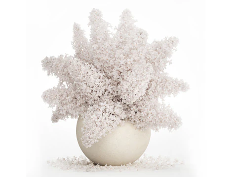 花瓶に入ったライラックの枝の白い花の花束 543 3Dモデル