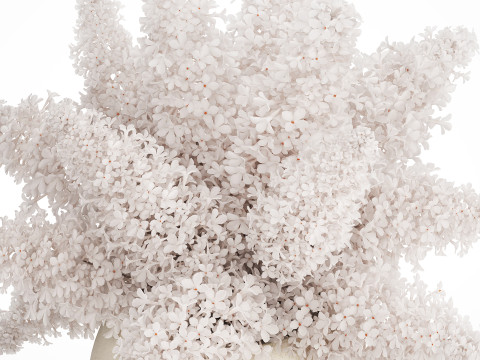 White flower bouquet of lilac branches in a vase 543 3D Model