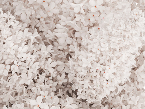 White flower bouquet of lilac branches in a vase 543 3D Model