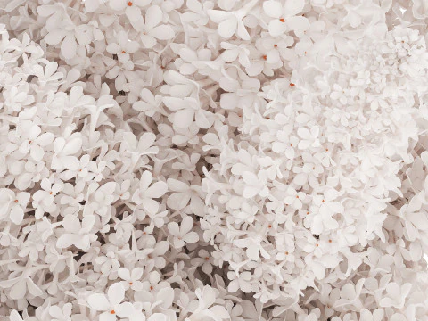 White flower bouquet of lilac branches in a vase 543 3D Model