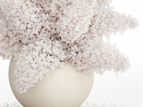 White flower bouquet of lilac branches in a vase 543 3D Model