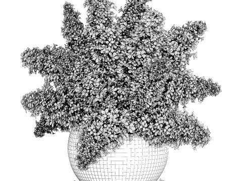 White flower bouquet of lilac branches in a vase 543 3D Model