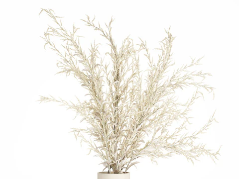 Bouquet Of Dried Flowers From White Branches 544 3D Model