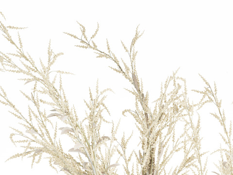 Bouquet Of Dried Flowers From White Branches 544 Modelo 3D