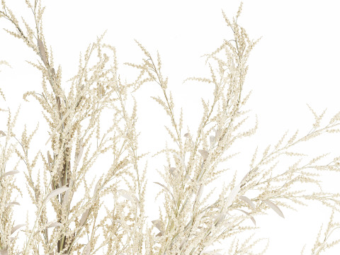 Bouquet Of Dried Flowers From White Branches 544 Modelo 3D