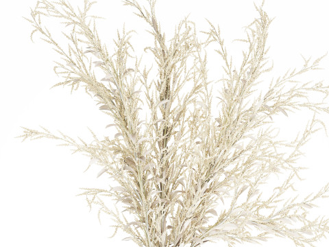 Bouquet Of Dried Flowers From White Branches 544 Modelo 3D