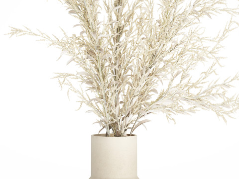 Bouquet Of Dried Flowers From White Branches 544 Modelo 3D