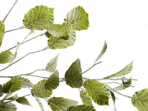 Green Floral Bouquet Of Branches With Leaves Vase 545 Modello 3D