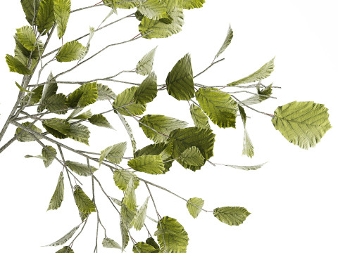Green Floral Bouquet Of Branches With Leaves Vase 545 Modello 3D
