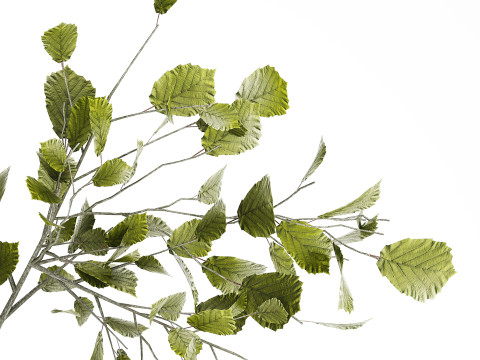 Green Floral Bouquet Of Branches With Leaves Vase 545 Modello 3D