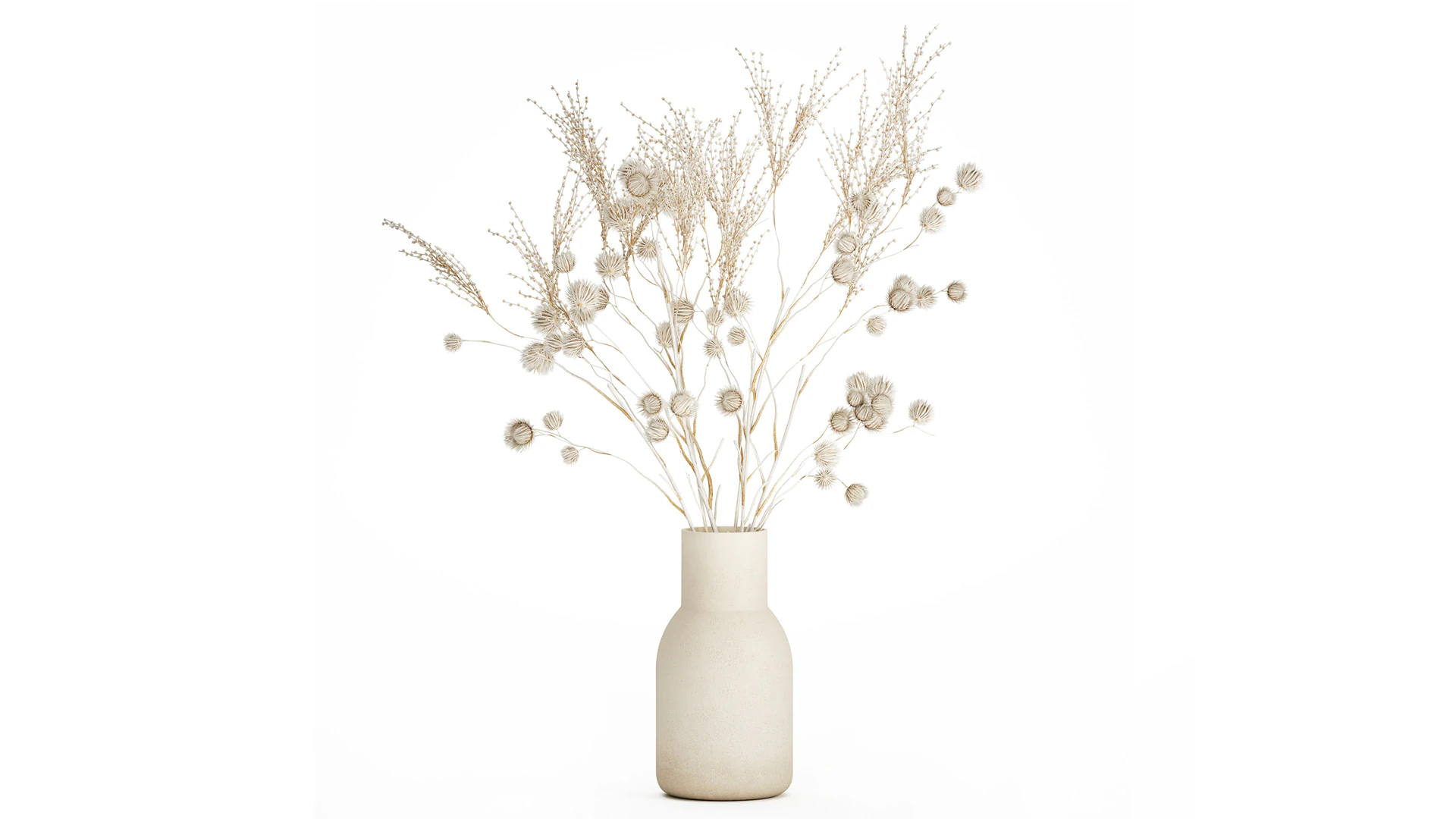 Bouquet of dried flowers from white branches of thistle 546 3D Model .c4d .max .obj .3ds .fbx .stl .blend