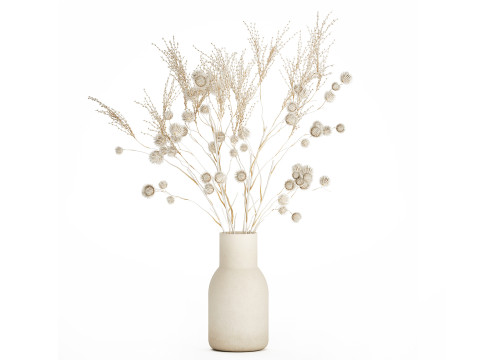 Bouquet of dried flowers from white branches of thistle 546 3D Model