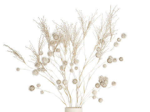 Bouquet of dried flowers from white branches of thistle 546 3D Model
