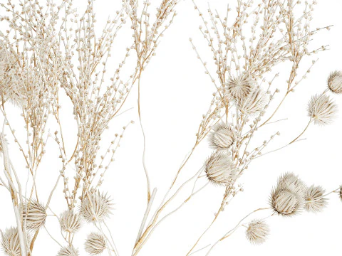 Bouquet of dried flowers from white branches of thistle 546 3D Model