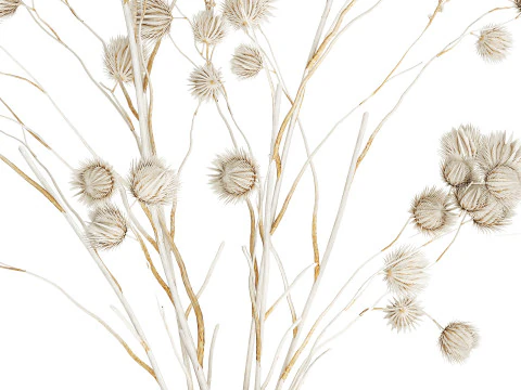 Bouquet of dried flowers from white branches of thistle 546 3D Model