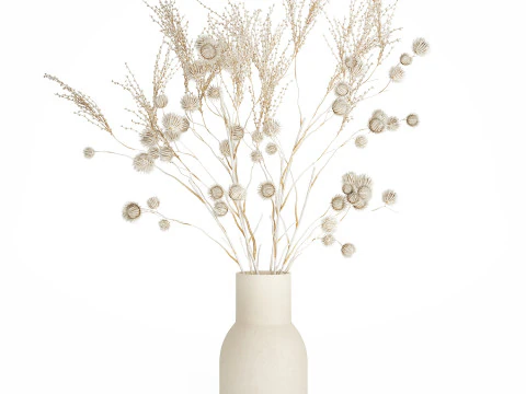 Bouquet of dried flowers from white branches of thistle 546 3D Model