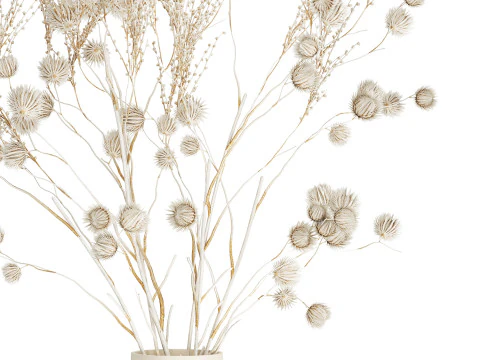 Bouquet of dried flowers from white branches of thistle 546 3D Model