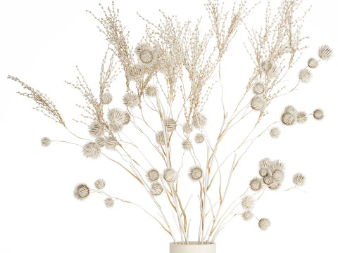 Bouquet of dried flowers from white branches of thistle 546 3D Model
