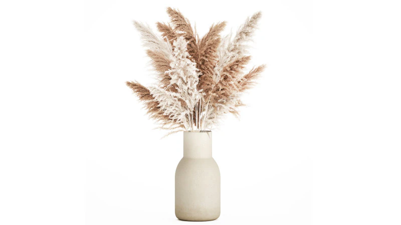 Bouquet bianco di fiori secchi con rami Pampa 547 Modello 3D .c4d .max .obj .3ds .fbx .stl .blend 