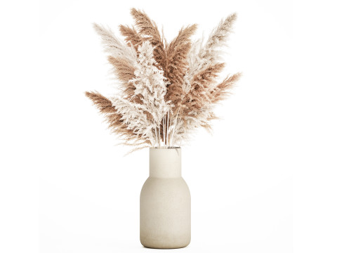 White Bouquet Dried Flowers With Branches Pampas 547 3D Model