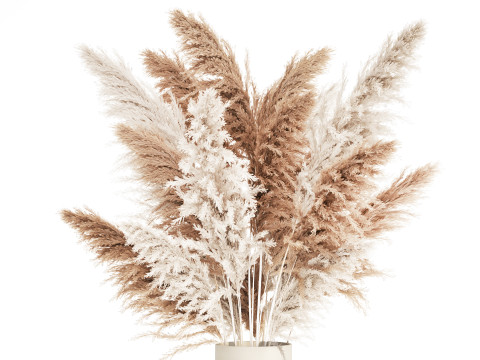 White Bouquet Dried Flowers With Branches Pampas 547 3D Model