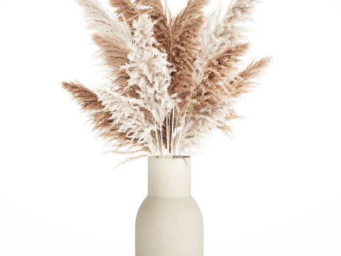 White Bouquet Dried Flowers With Branches Pampas 547 3D Model