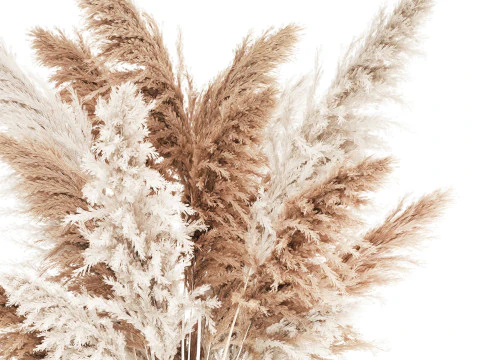 Bouquet bianco di fiori secchi con rami Pampa 547 Modello 3D