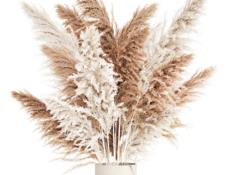 White Bouquet Dried Flowers With Branches Pampas 547 3D Model