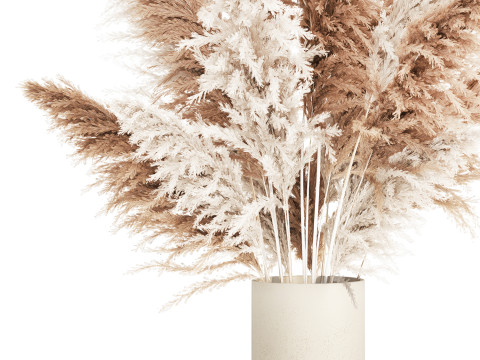 White Bouquet Dried Flowers With Branches Pampas 547 3D Model