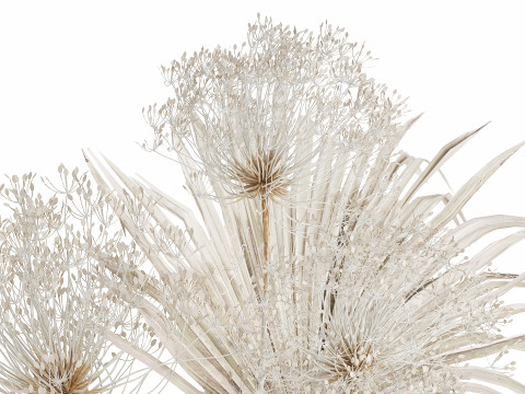 Bouquet Dried Flowers branches Hogweed Palm Leaves 548 3D Model