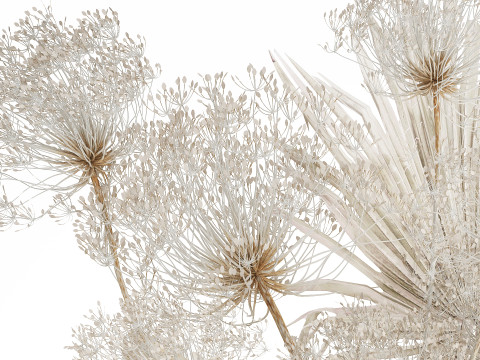 Bouquet Dried Flowers branches Hogweed Palm Leaves 548 3D Model