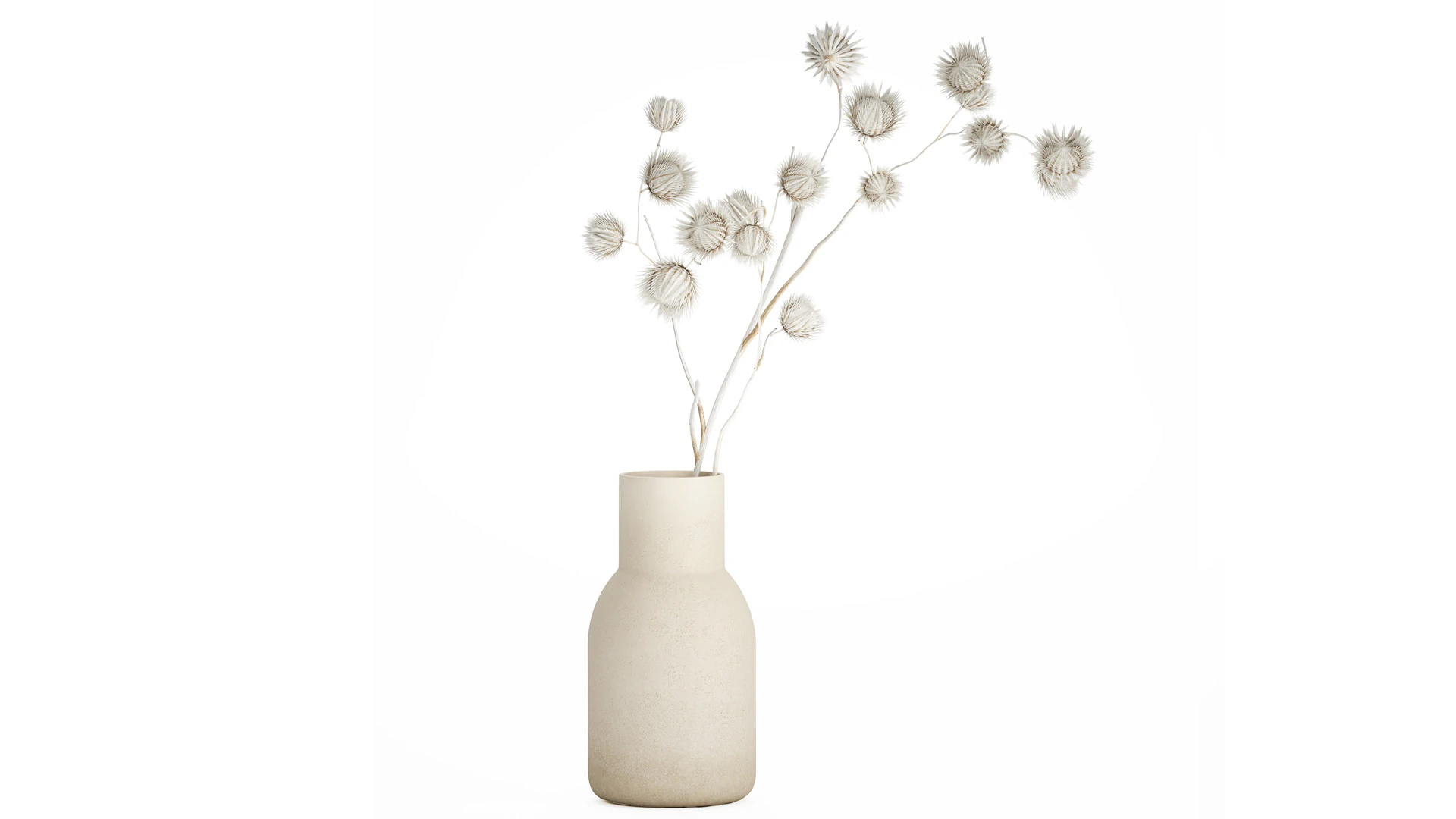 Bouquet Dried Flowers From White Branches Thistle 549 3D Model .c4d .max .obj .3ds .fbx .stl .blend 