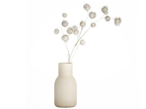 Bouquet Dried Flowers From White Branches Thistle 549 Model 3D
