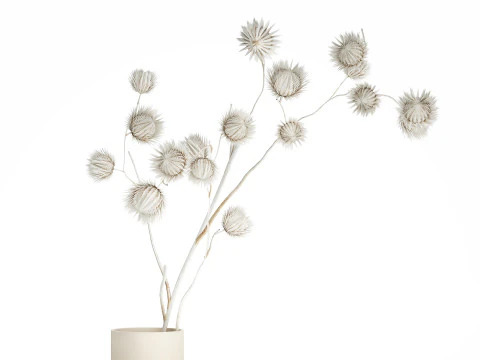 Bouquet Dried Flowers From White Branches Thistle 549 3D Model