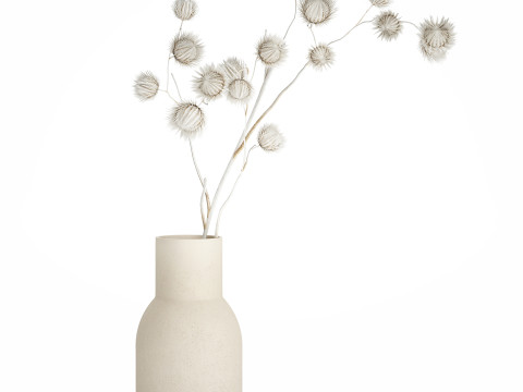 Bouquet Dried Flowers From White Branches Thistle 549 Modelo 3D
